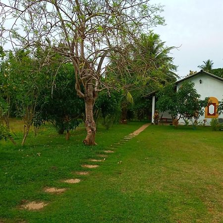 Hideaway Homestay Хабарана Экстерьер фото
