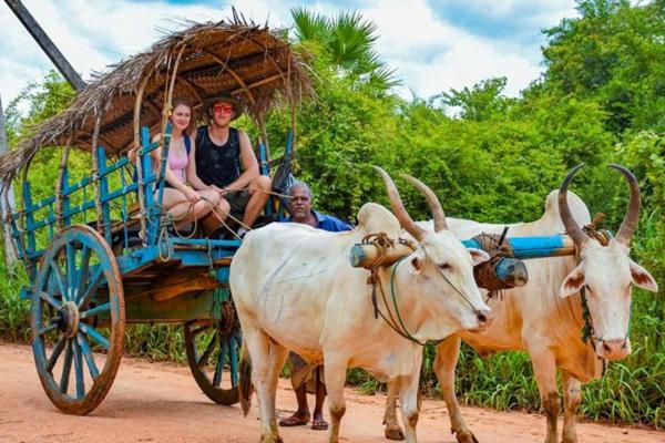 Hideaway Homestay Хабарана Экстерьер фото