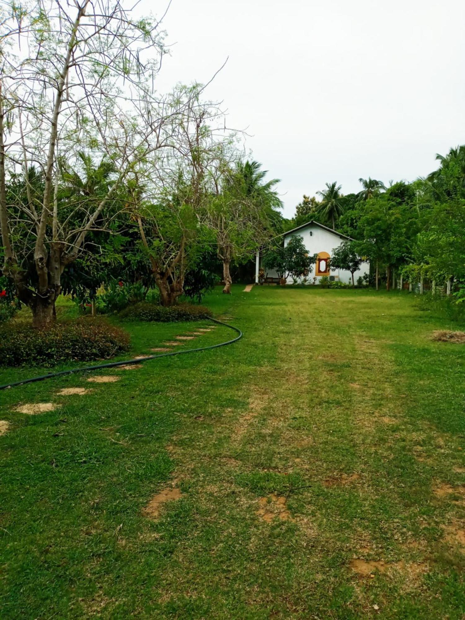 Hideaway Homestay Хабарана Экстерьер фото