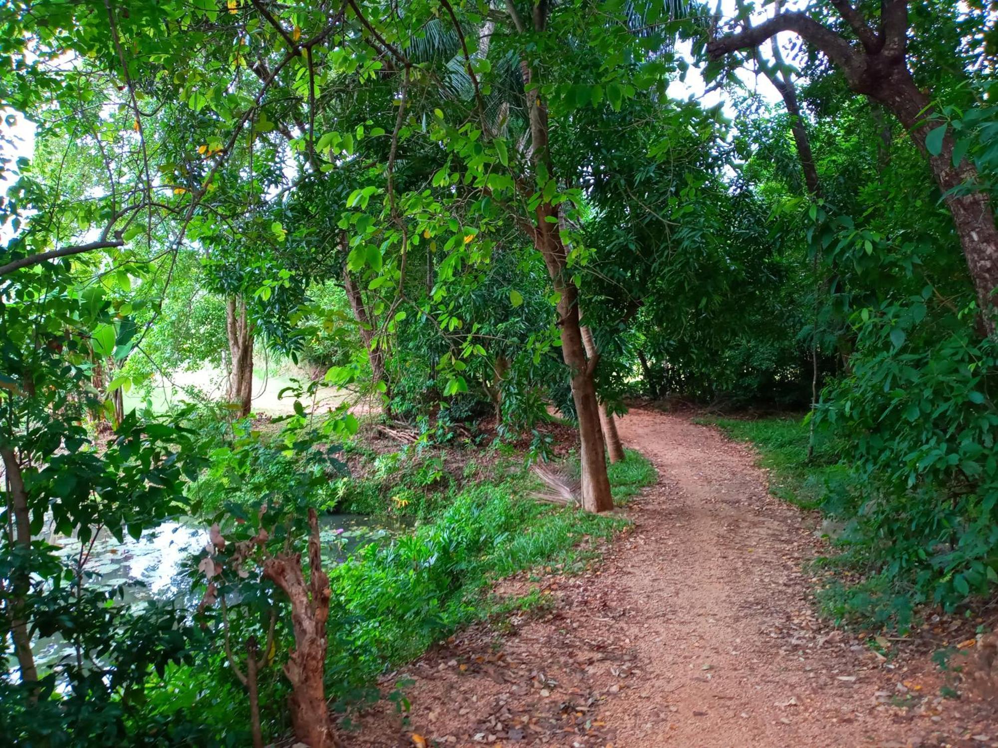 Hideaway Homestay Хабарана Экстерьер фото